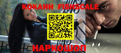 гидра Заводоуковск