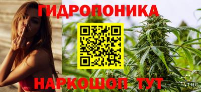 гидра Заводоуковск