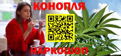 гидра Заводоуковск