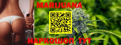 гидра Заводоуковск