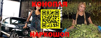 гидра Заводоуковск