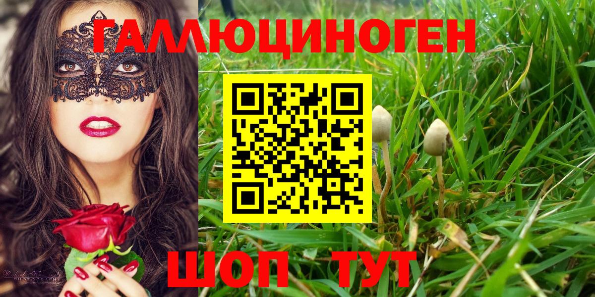 Псилоцибиновые грибы мицелий  наркошоп  Лесозаводск  Вход с VPN 